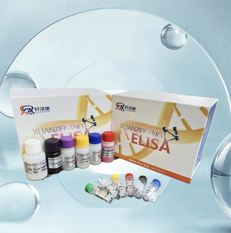人白細(xì)胞介素1β（IL-1β）ELISA檢測試劑盒