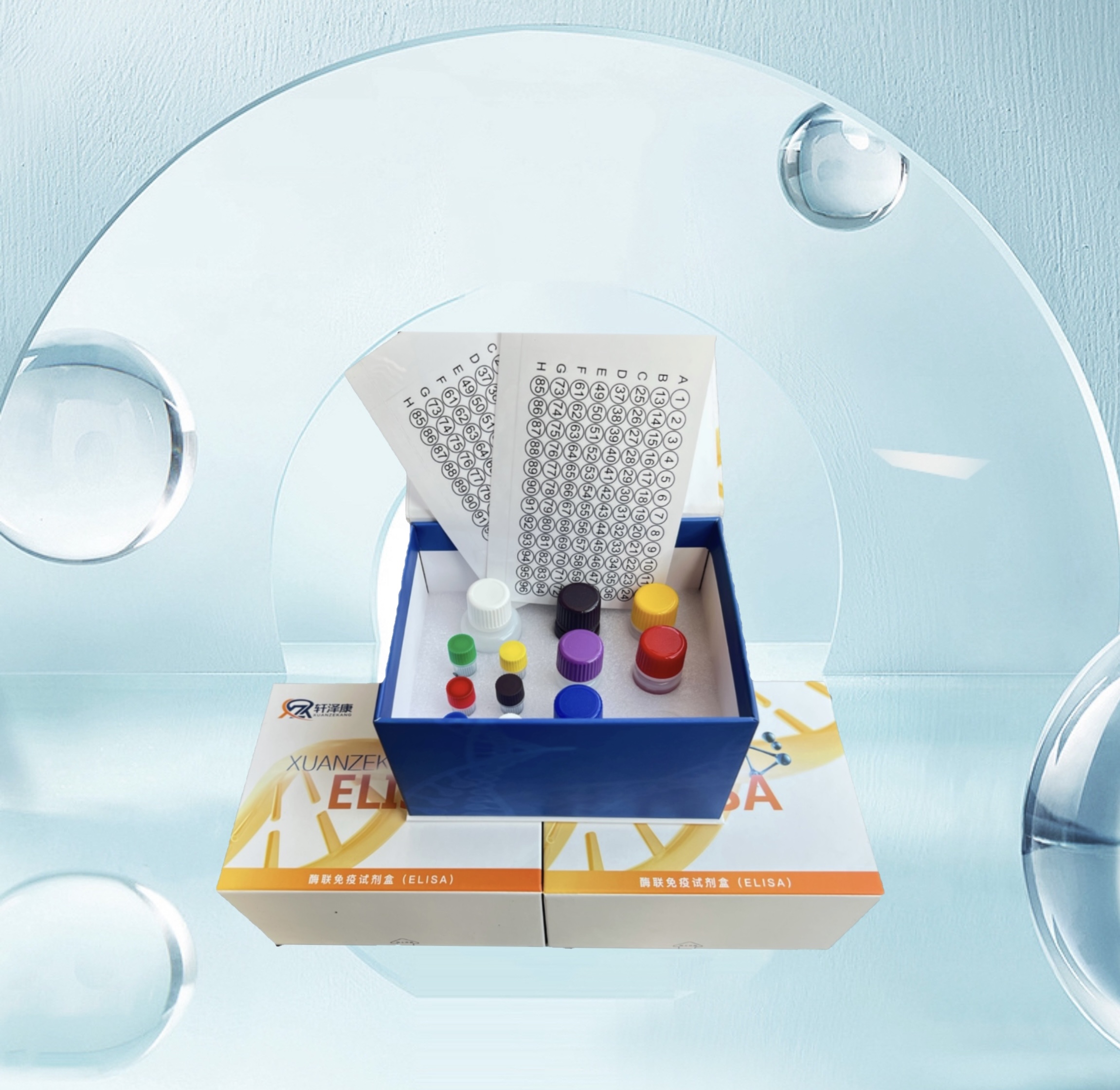 大鼠可溶性血小板內(nèi)皮細(xì)胞粘附分子1（sPECAM-1/sCD31）ELISA檢測試劑盒