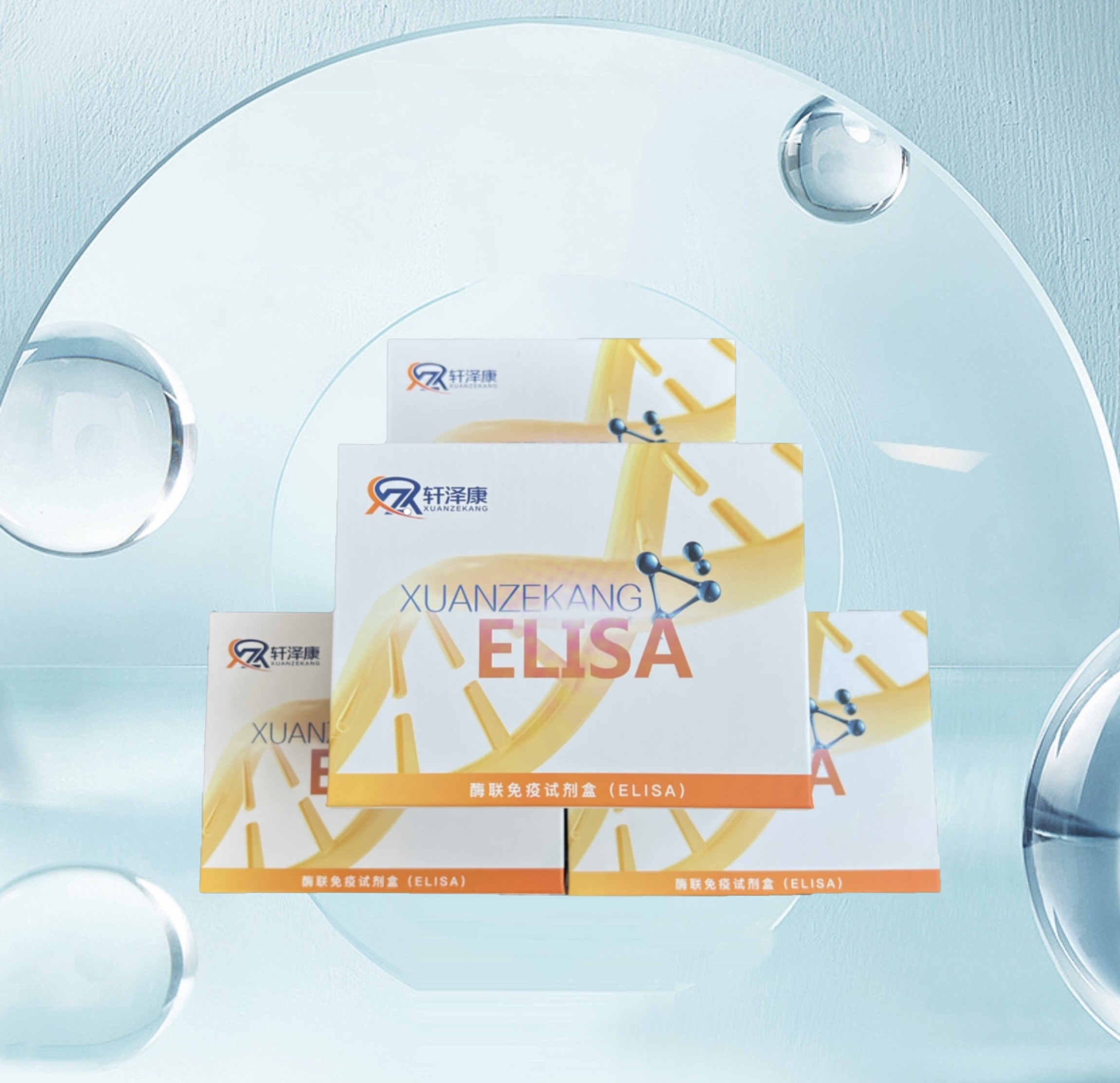小鼠戊糖素（Pentosidine）ELISA檢測試劑盒